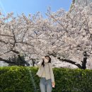 비치타운앞 이미지