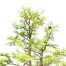 수복사 | 경기도 광주향교