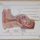 중앙보청기 이미지