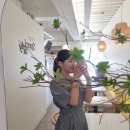 카페봄봄범어역점 | 카페봄봄 범어역점 라떼 테이크아웃 후기 (민생지원금 사용가능)