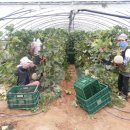 안동유통 이미지