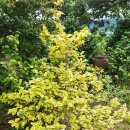 인송농장 이미지