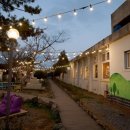 제주애견학교 이미지