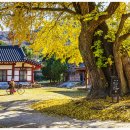 영광향교 이미지