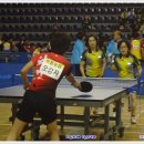 용인실내체육관 이미지