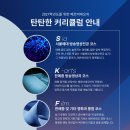 페르비데오