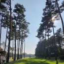 솔모로골프장 | “이 가격에 이 코스 맞아?” ⛳ 솔모로CC 4월 라운드 솔직 후기｜가성비 끝판왕 골프장 직접 다녀옴