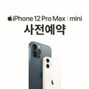 아이폰12mini , Pro Max 사전예약 이미지