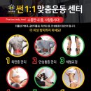 썬 맞춤운동센터 네이버블로그