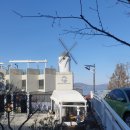 매화시장 이미지