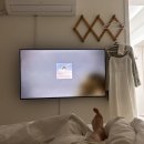 어달을 담다 | <묵호_어달을 담다> 묵호여행 숙소추천, 인스타 유명숙소 솔직후기, 내돈내산 숙소 추천