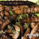 선이스낵 이미지