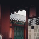 조*태1 이미지