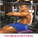 로만 체어 AB 크런치 이미지