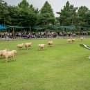 구령목장 네이버블로그