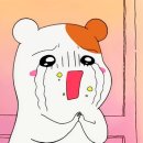 댕강댕강 이미지