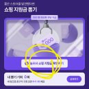 네이버페이 쇼핑지원금 뽑기❓❓ 이미지