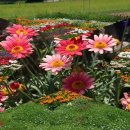 황룡강변 이미지