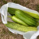 우적농장 이미지