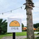 안녕감귤 제주독채펜션 이미지