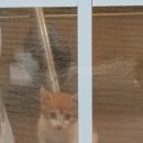 뜰이야기2 이미지