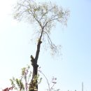 물고기마을 이미지