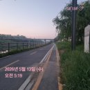 다이어트 보조제 탄탄젤리 포켓몬 기획세트 다이어트 간식 후기