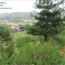 두촌관광타운 이미지