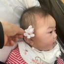 느티울어린이공원 이미지