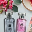 아로마포레스트 이미지