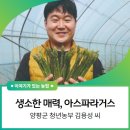 청년농부보부상