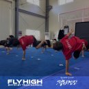 플라이하이태권도 이미지