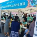 충청북도자연과학교육원, ‘제13회 충북수학축제’성료 이미지