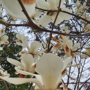 경화역 공원 2 네이버블로그