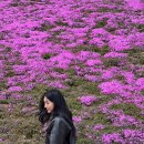 거창 데이트 장소로 좋은 거창수변생태공원 “창포원” (+자전거 대여, 프랭크버거)