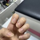 네일두이