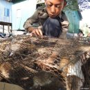 [르뽀] 캄보디아 농촌 추수기의 "짭짤한" 부업 - 베트남 수출용 식용 들쥐 잡기 이미지