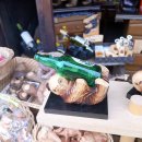 기형목장 이미지