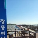 섬티아고 섬순례길 걷기(2025.4.28-4.29) 이미지