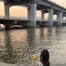 무지개할인마트 | 반포대교 무지개분수 시간 명당 위치 꿀팁 총정리