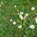 탄소중립교육지도사 1급 이미지