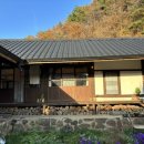 꽃피는 무릉도원 이미지