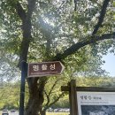 선덕 | [경주 선덕여왕길 겹벚꽃 후기] 조용히 걷기 좋은 봄길