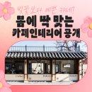 카페 봄 이미지