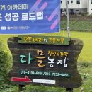 일석농장 | 🌻 [현장체험 후기] 평택 다믈농장, 치유와 농업이 만나는 힐링의 공간에서 배운 하루