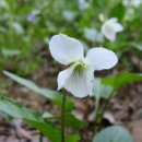 은행공원 이미지