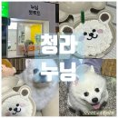 누닝 | [공지] 청라 강아지 케이크 / 금별님 생일 축하 수제간식 '누닝펫푸드' 후기