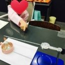 김종임 | [공지]<노은초등연세제일>초등4학년 즐거운 과학실험 살펴보기-7/15