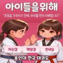 용인대한국태권도