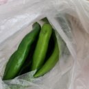 항아리 얼큰칼제비 이미지